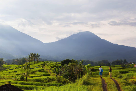 The Beauty of Rice Paddies in Bali - Kulture Home Decor